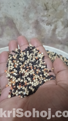 কবুতরের খাবার কালো দানা সাদা বাজরা